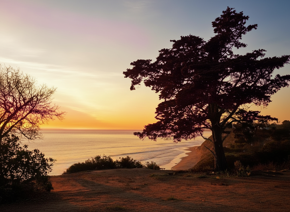 Douglas Family Preserve